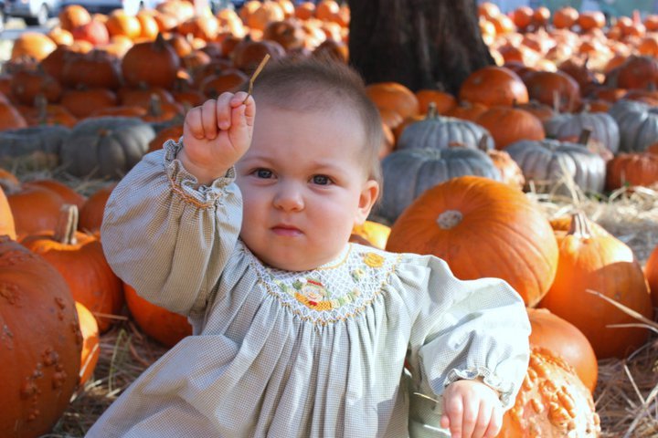 Davis Collins' album, Collins at the Pumpkin Patch