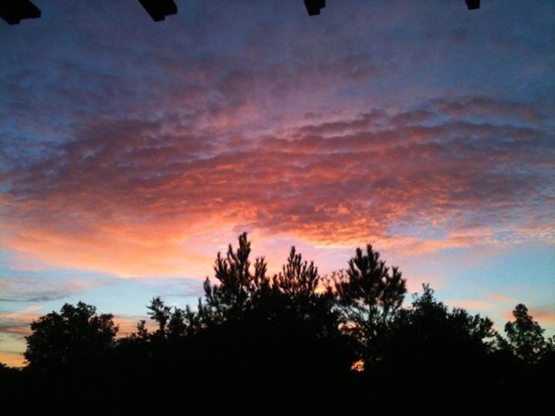 Patty Kennedy's album, Cover Photos