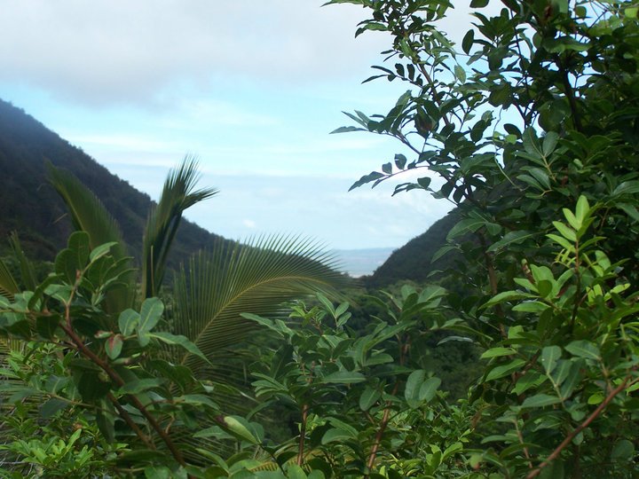 Ray Garza's album, Island Wide