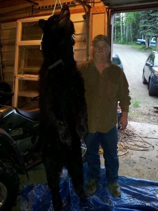 Rodney Smidt's album, Mobile Uploads