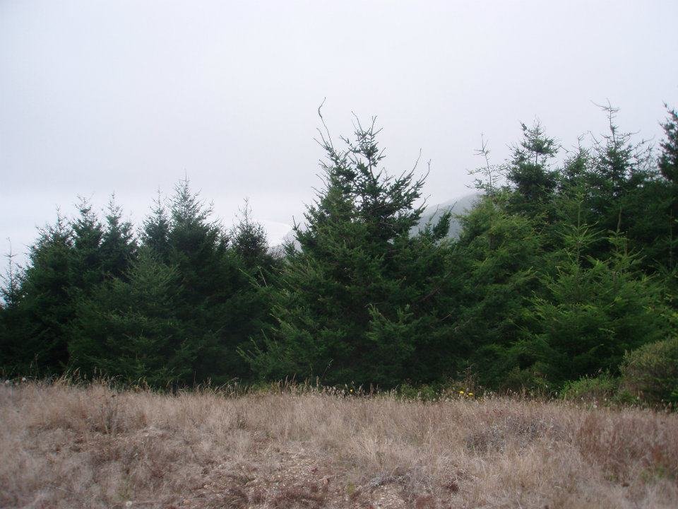 Maria Ossipoff's album, Point Reyes Backpacking Trip