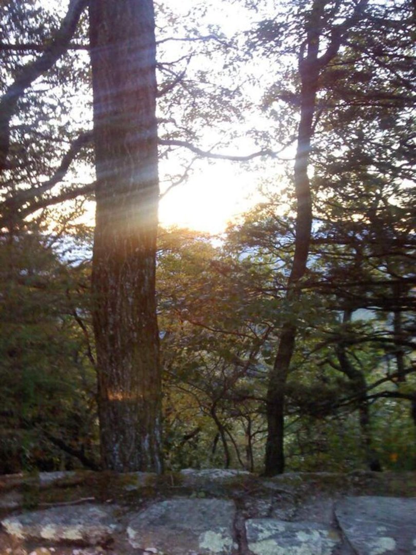 Lori Mayer's album, NC MTNS October 9th 2010