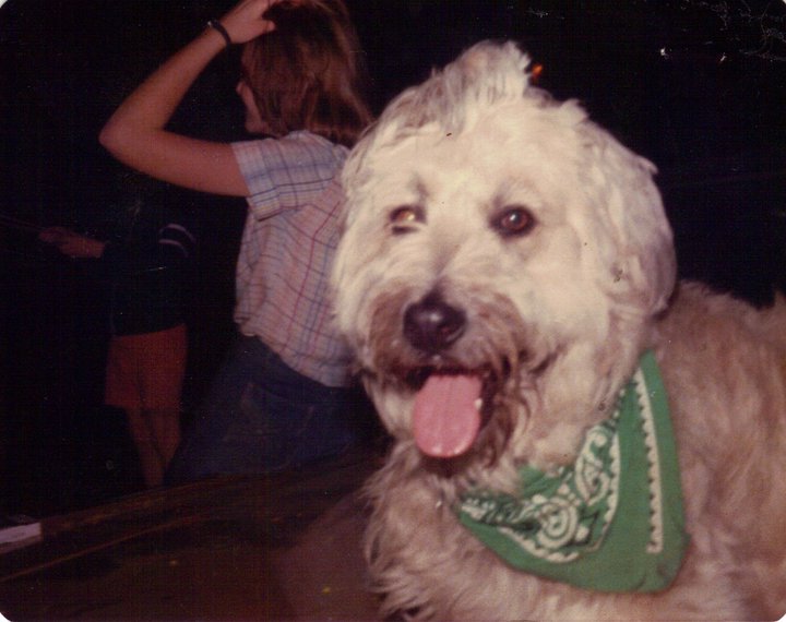 Robert Mallardo's album, Spike