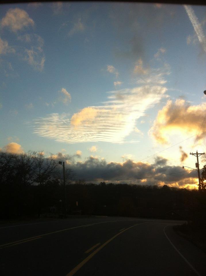Nancy Stone's album, Mobile Uploads