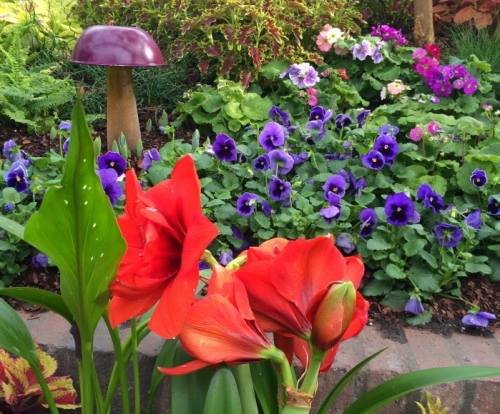 Beth Funston's album, Timeline Photos