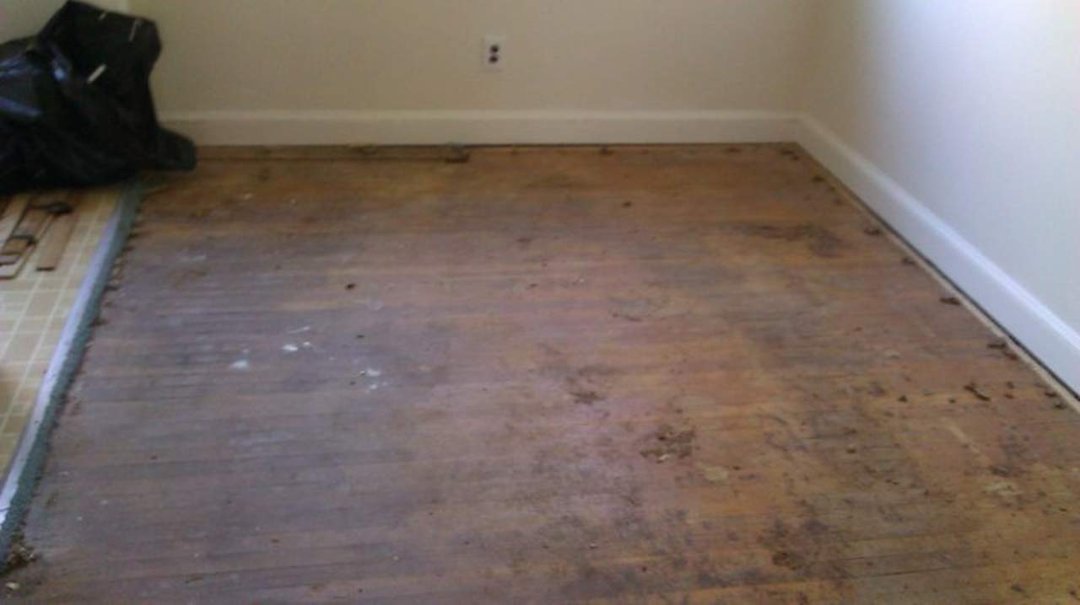 Sheldon Alexander's album, Restoring Hardwood Floors