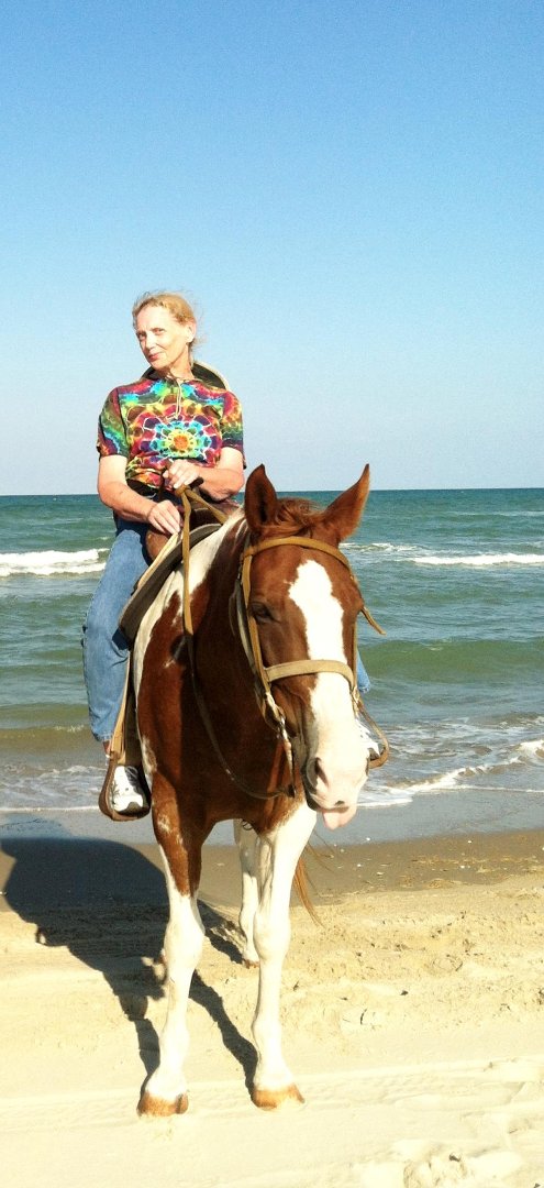 Cindy Burkhardt's album, Profile Pictures