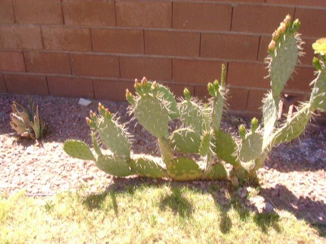 Beverly Lumm's album, Timeline Photos