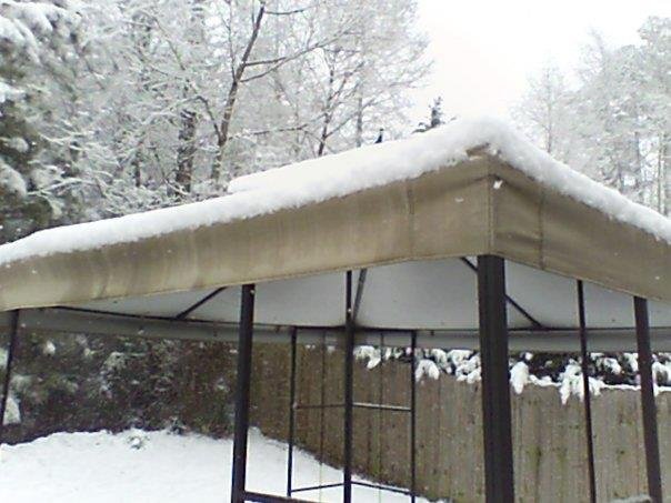 Carol Koob's album, Snow in Atlanta