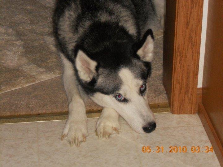 Diane Littrel's album, March 17, 2011