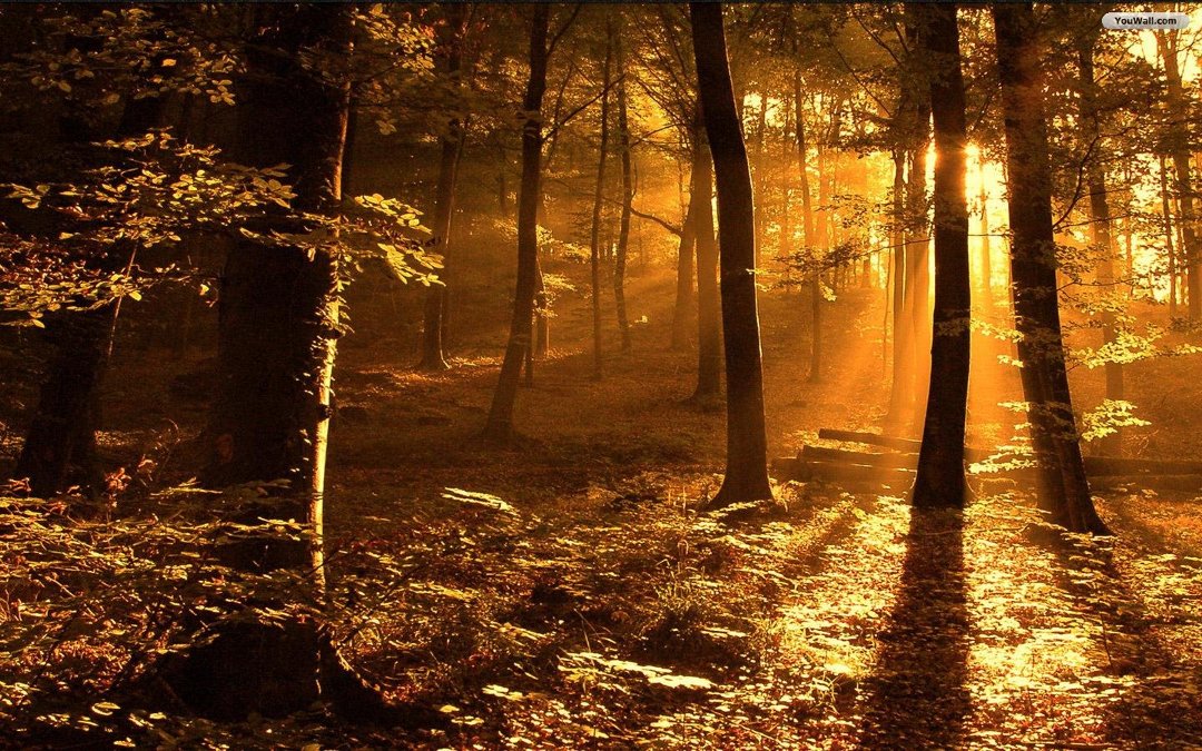 Donna Schmidt's album, Cover Photos