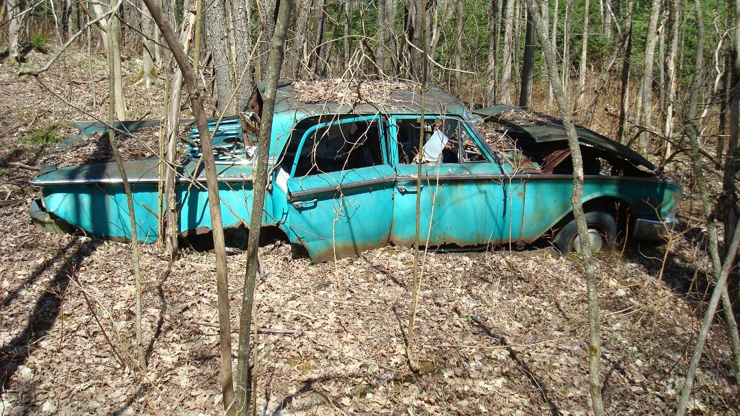 Chris Cunningham's album, 'Rustic' Scenes on a Recent Hike