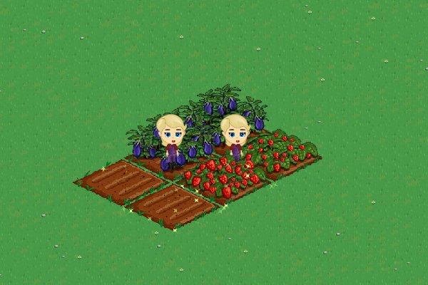 Carol Praye's album, FarmVille Photos