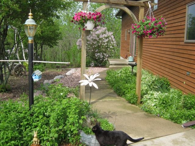 Sheri Novak's album, Timeline Photos