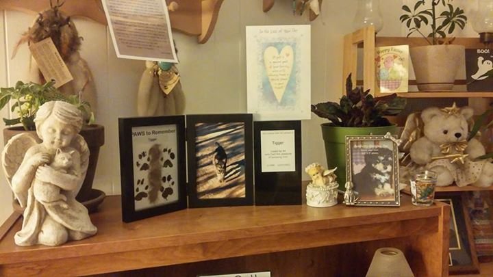 Rita Spindler's album, Mobile Uploads