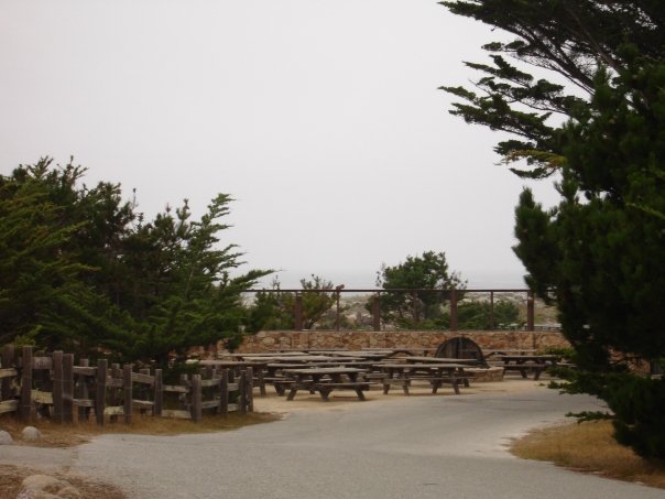 Debbie Clark's album, Asilomar 2009