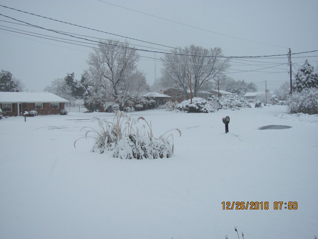 Donna Austin's album, Christmas snow in North Carolina 2010