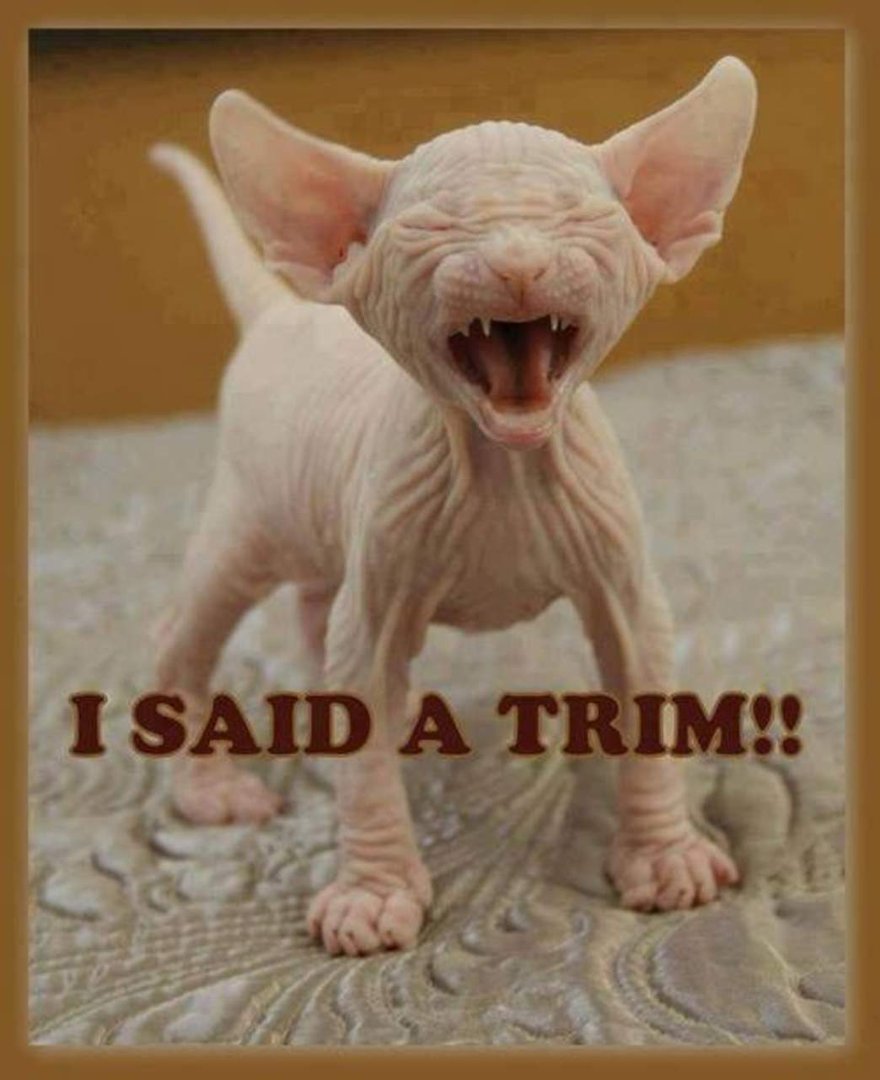 Glenease Ballinger's album, Timeline Photos