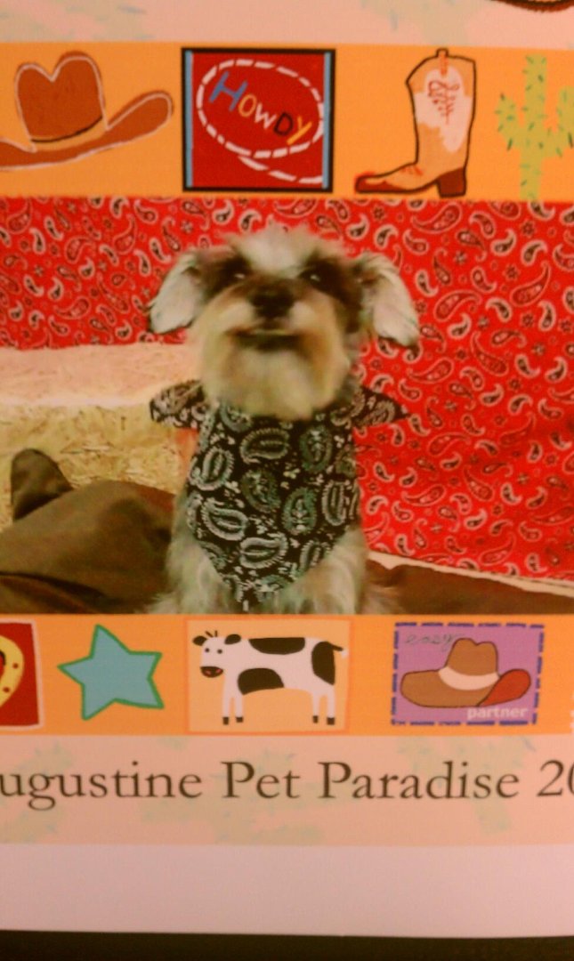 Nancy Thelen's album, Cover Photos