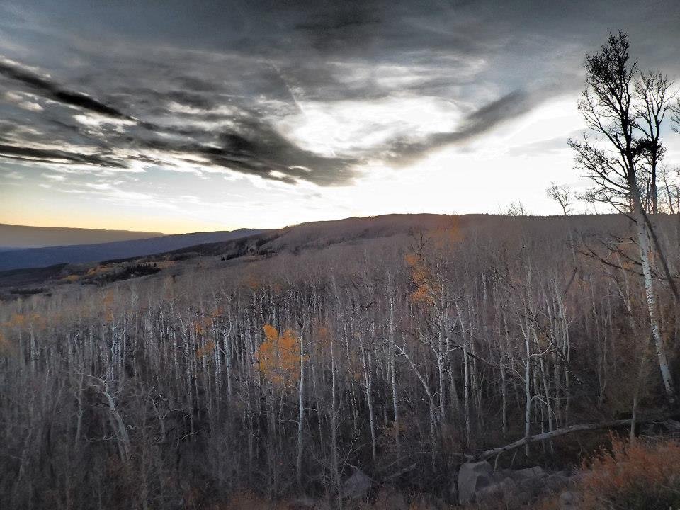 Mark Baril's album, Cover Photos