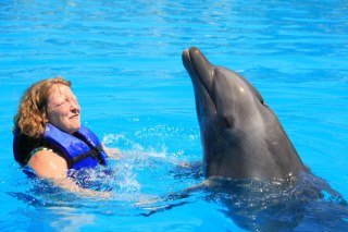 Ellen Richardson's album, my dolphin experience