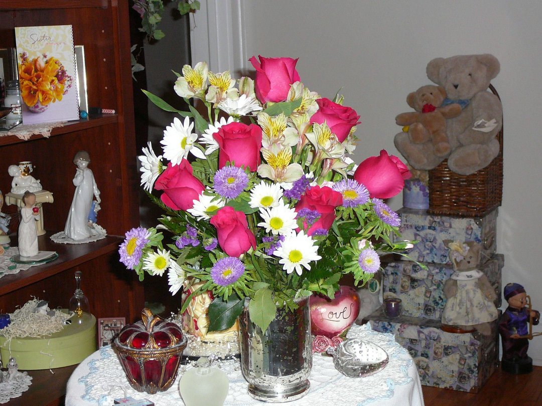 Ellen Anderson's album, Cover Photos
