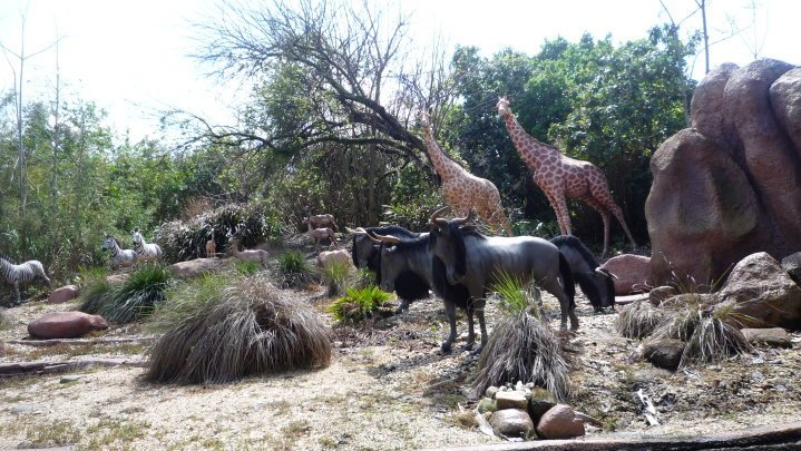 Darrell Burton's album, DisneyWorld 2010