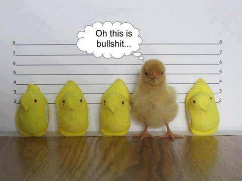 Eldon Brown's album, Timeline Photos