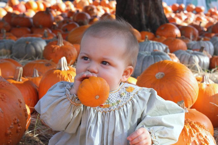 Davis Collins' album, Collins at the Pumpkin Patch