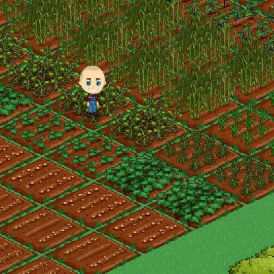 Nick Clute's album, FarmVille Photos