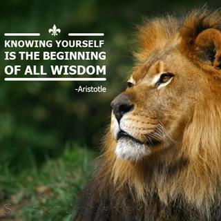 Loretta Cluf's album, Timeline Photos