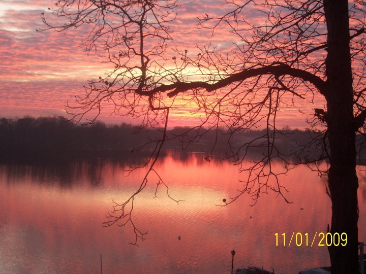 John Barwiler's album, My album