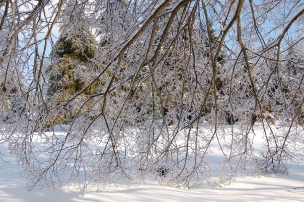 Mike Prather's album, Kentucky Ice Storm 2009