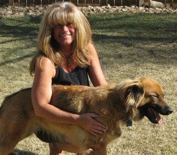 Karin Wingfield's album, Profile Pictures
