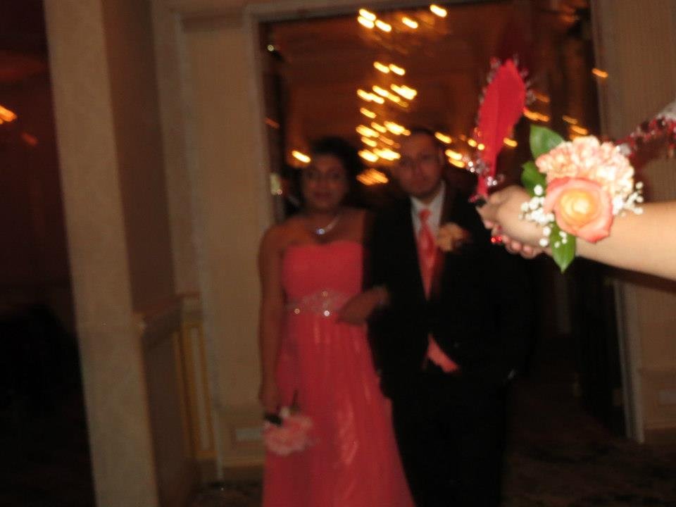 Indira Beharovic's album, tani & ado wedding 1/19/13