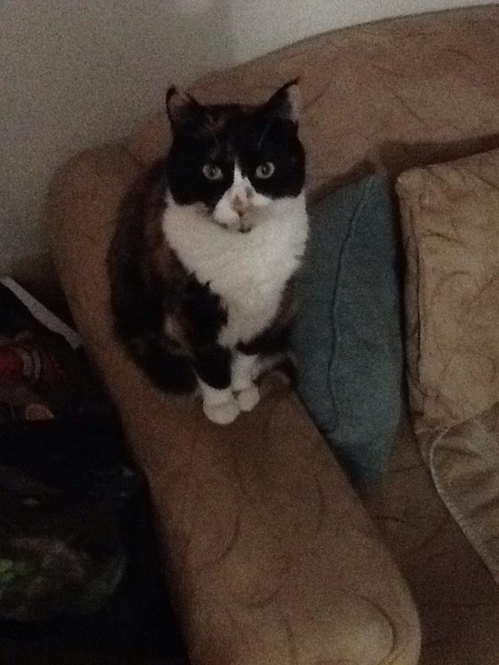 Terry Munn's album, iOS Photos