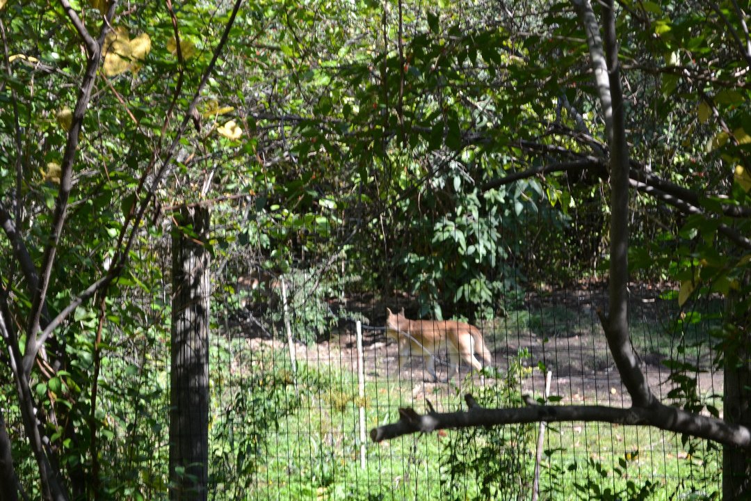 Chris Ames' album, Boys day at Zoo 2012