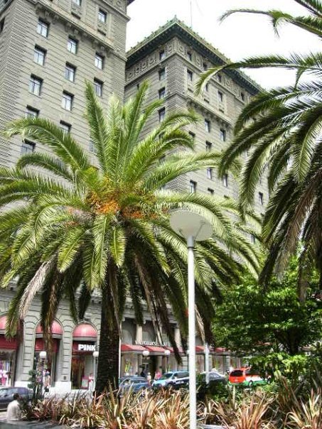Jeff Wilson's album, San Francisco
