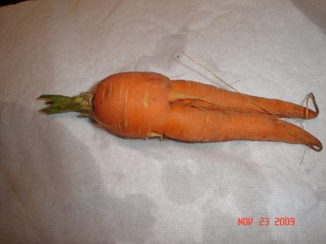 Barbara Smiley-ramirez's album, Mom's x-rated Carrot from garden