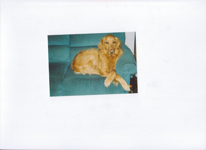 Janet Lampton's album, fb2