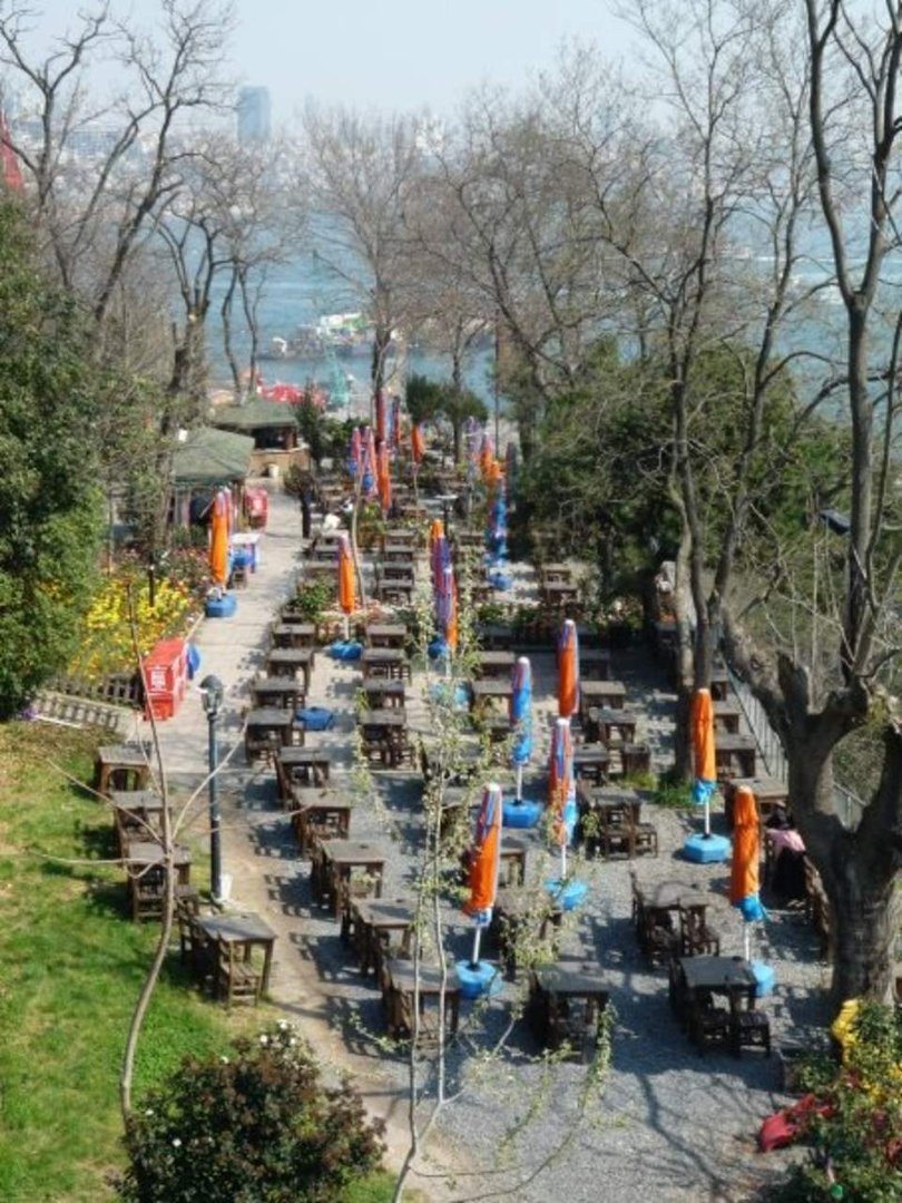 Tracy Cunningham's album, turkey