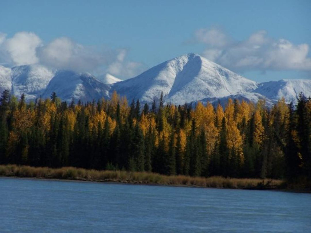 Mark Bennett's album, alaska