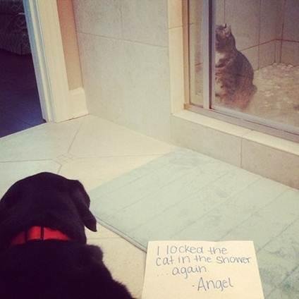 Dwight Earl's album, Timeline Photos