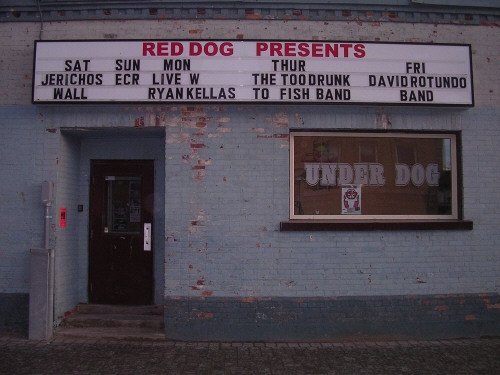 Rob MacArthur's album, Lorraine Davies and the Too Drunk to Fish Band Photos 2