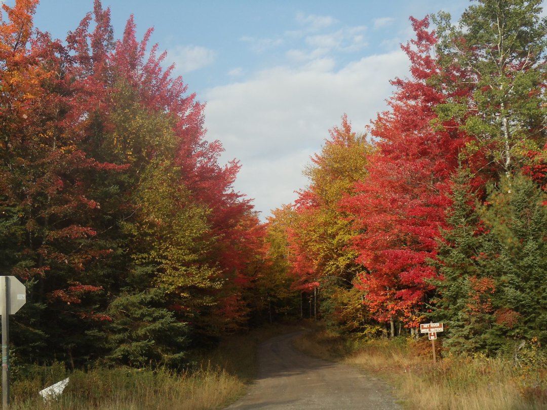 Stephen Aldrich's album, Fall in da yoopie
