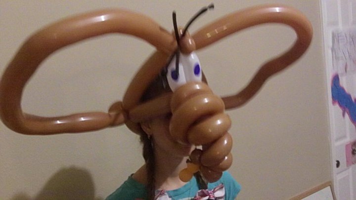 Scott Barhold's album, Balloon Menagerie