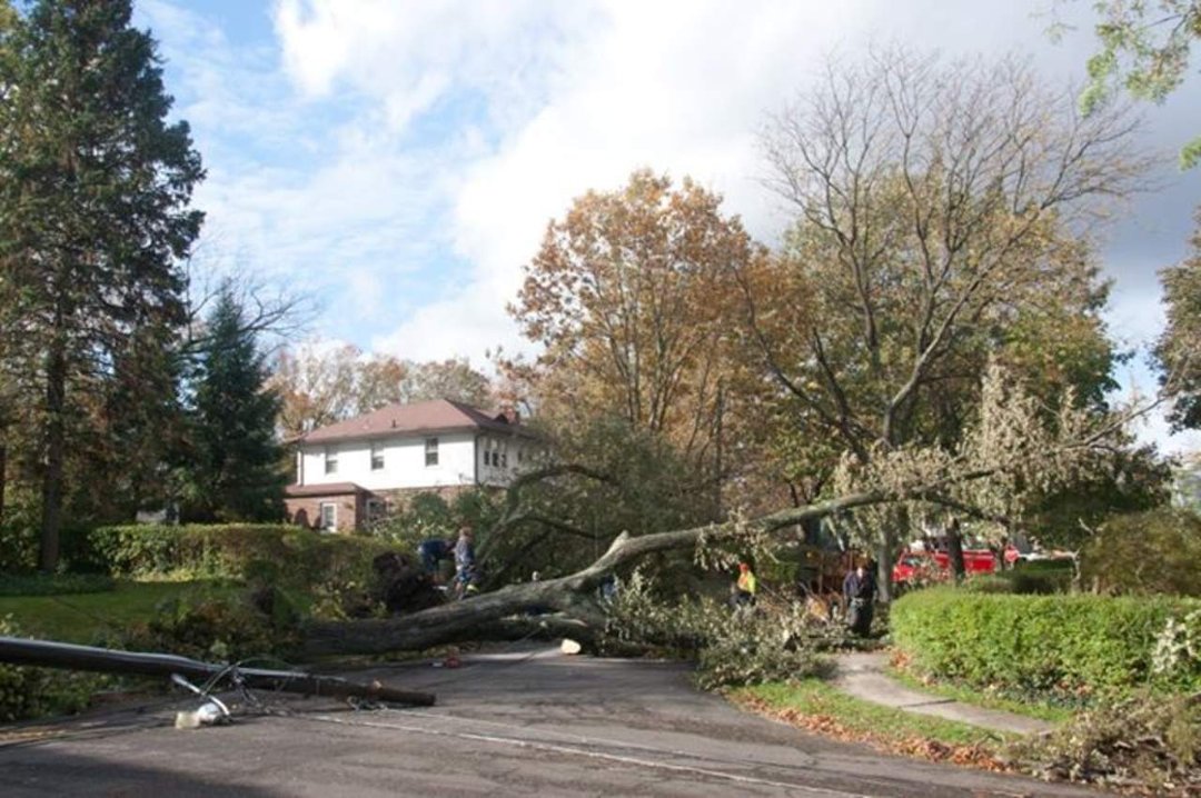Thomas Bricker's album, Hurricane Sandy Visits the Brickers