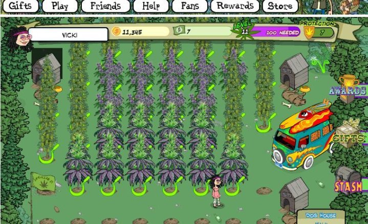 Vicki Cable/Rogg's album, pot farm