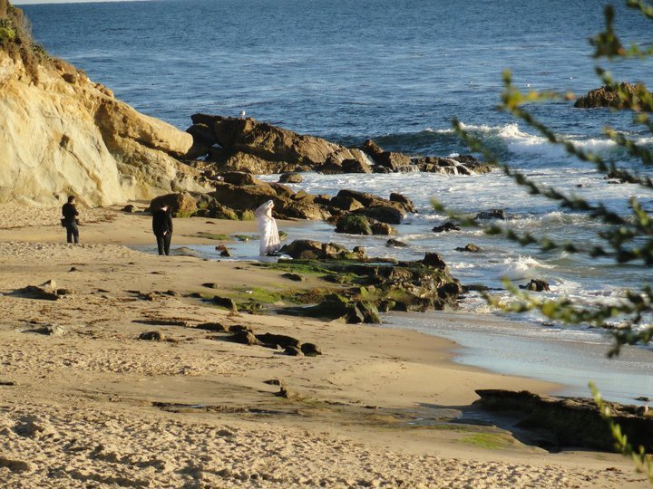 Bill Dodson's album, California drive last Saturday