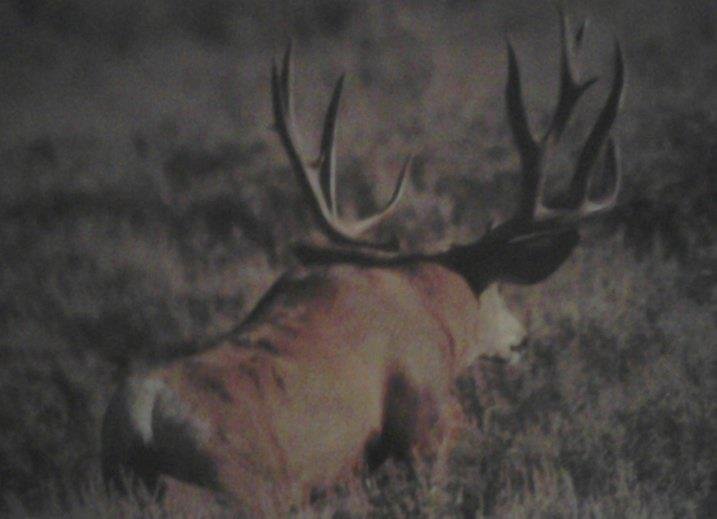 Wayne Davis' album, Profile Pictures